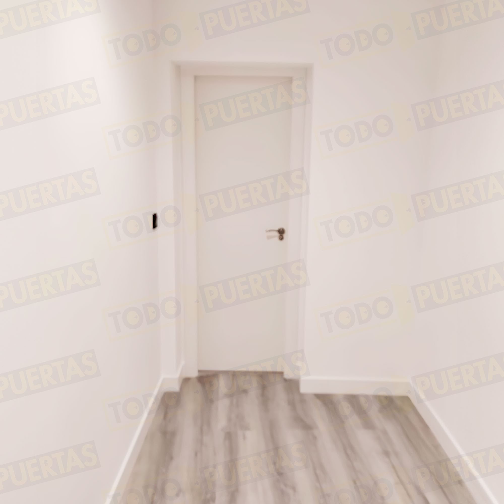 Foto Puertas de Interior cliente 12