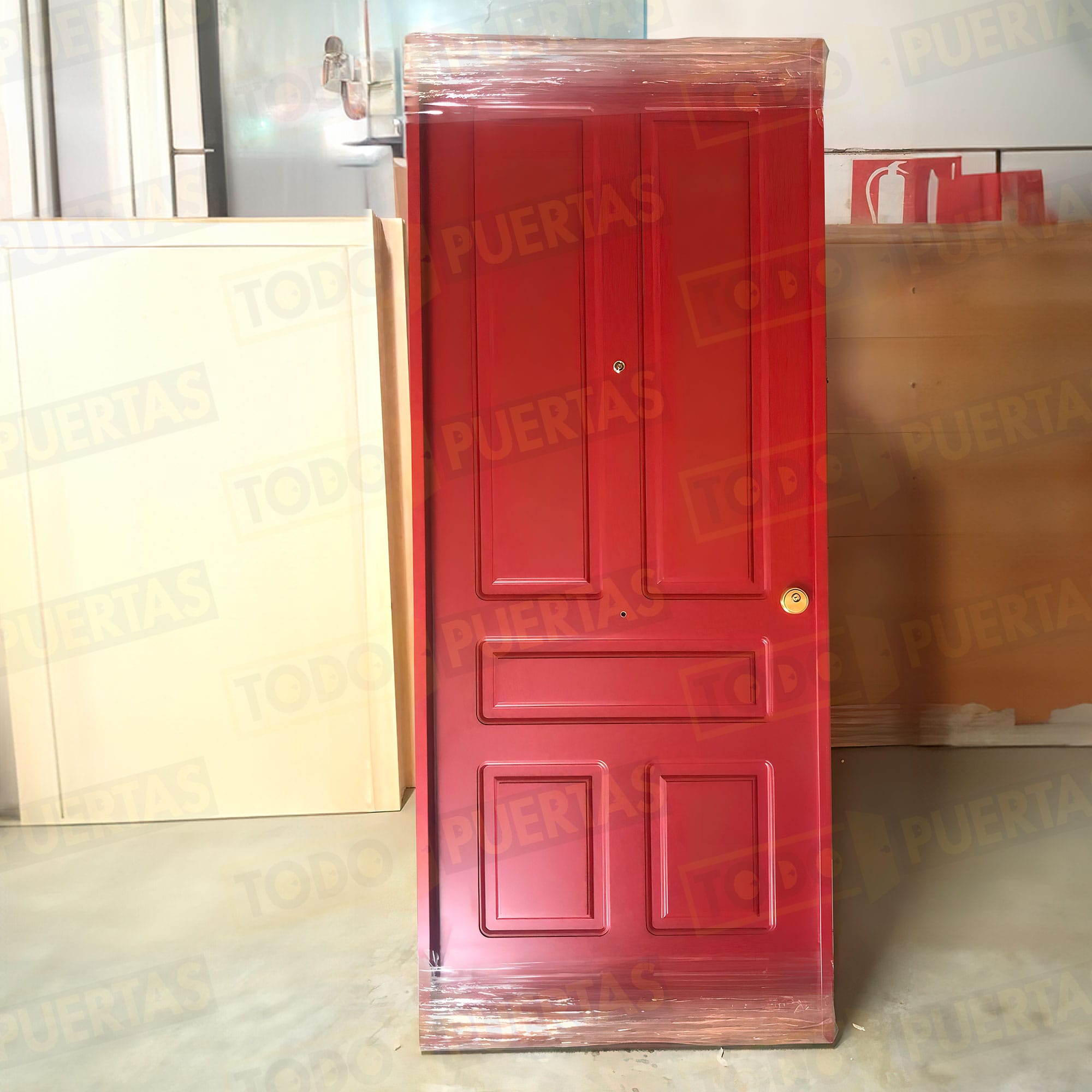 Foto Puertas Blindadas cliente 2