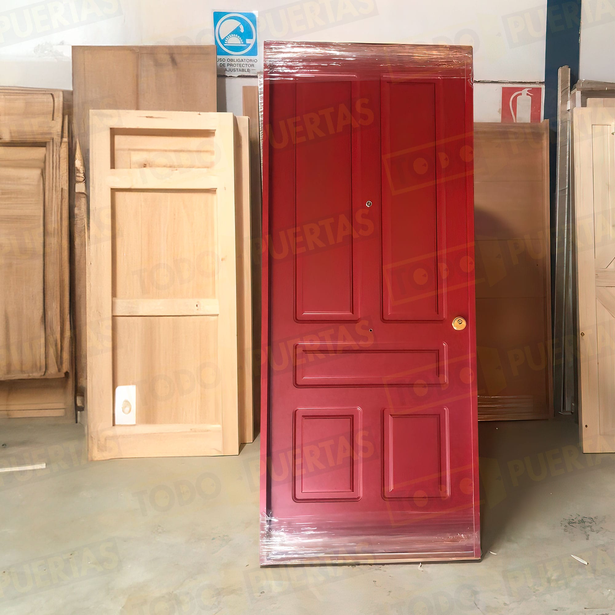 Foto Puertas de Entrada cliente 5