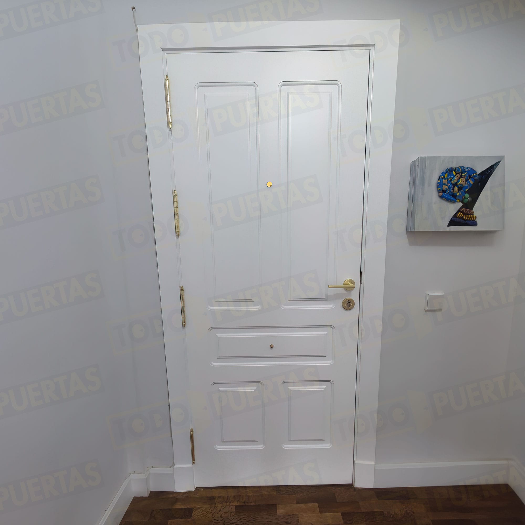 Foto Puertas Blindadas cliente 1