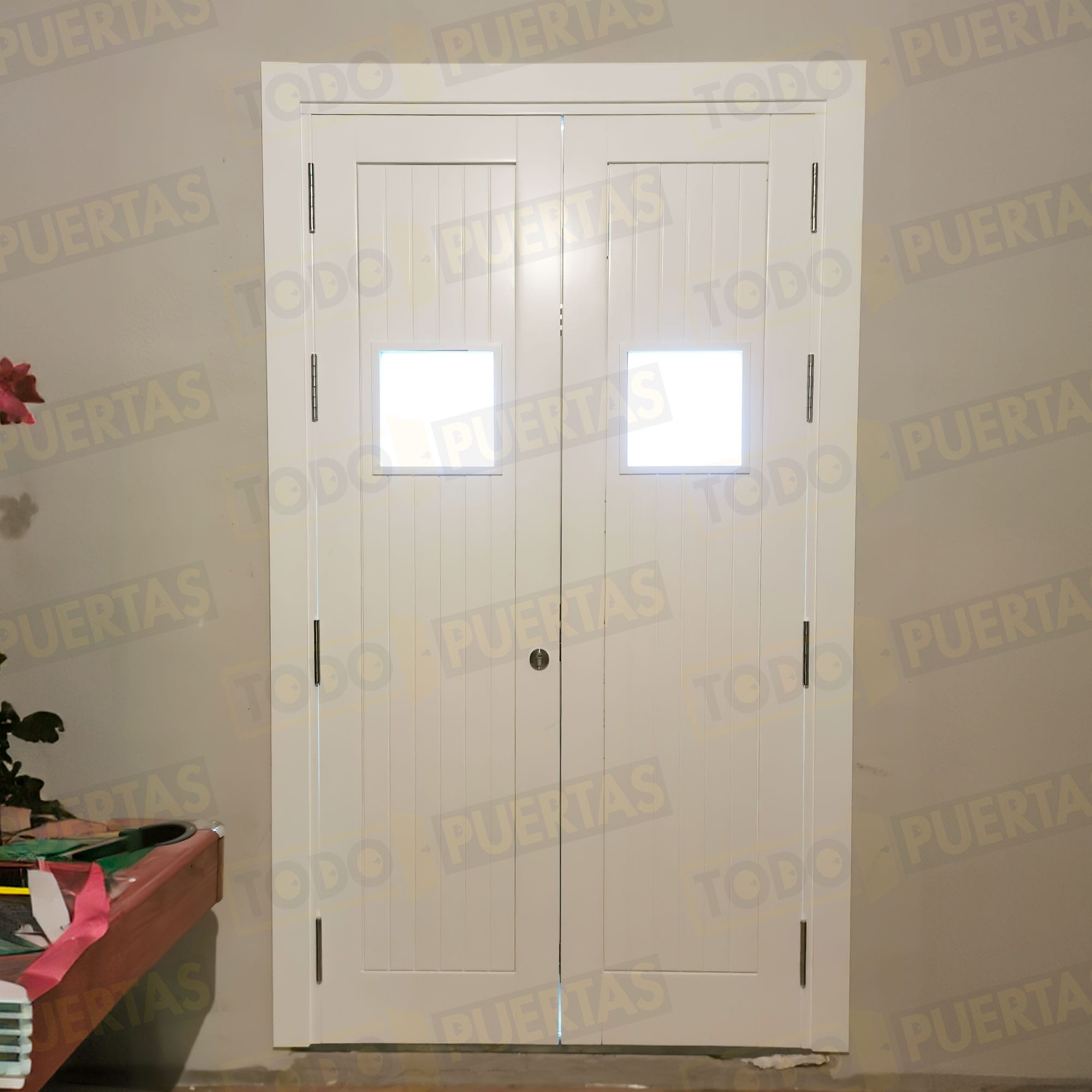 Foto Puertas de Entrada cliente 25