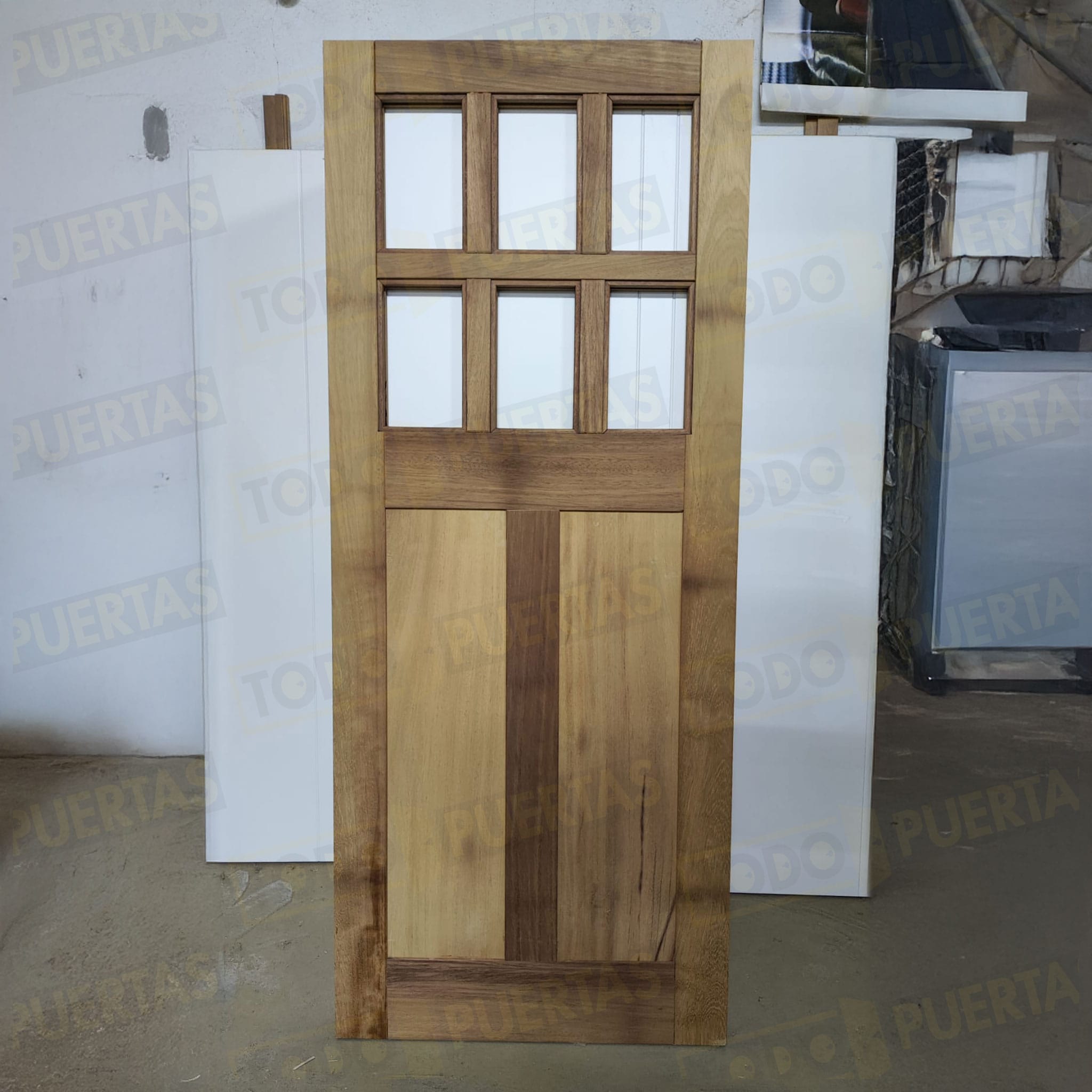 Foto Puertas de Entrada cliente 11