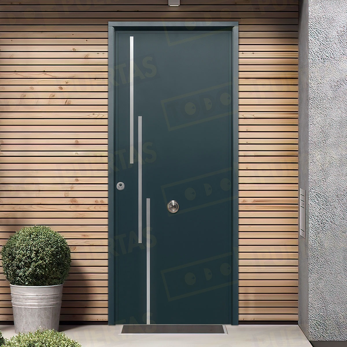 Puerta Acorazada Camelia FM Sagacor 100 Gris Antracita 7016 (Dos Caras Iguales)