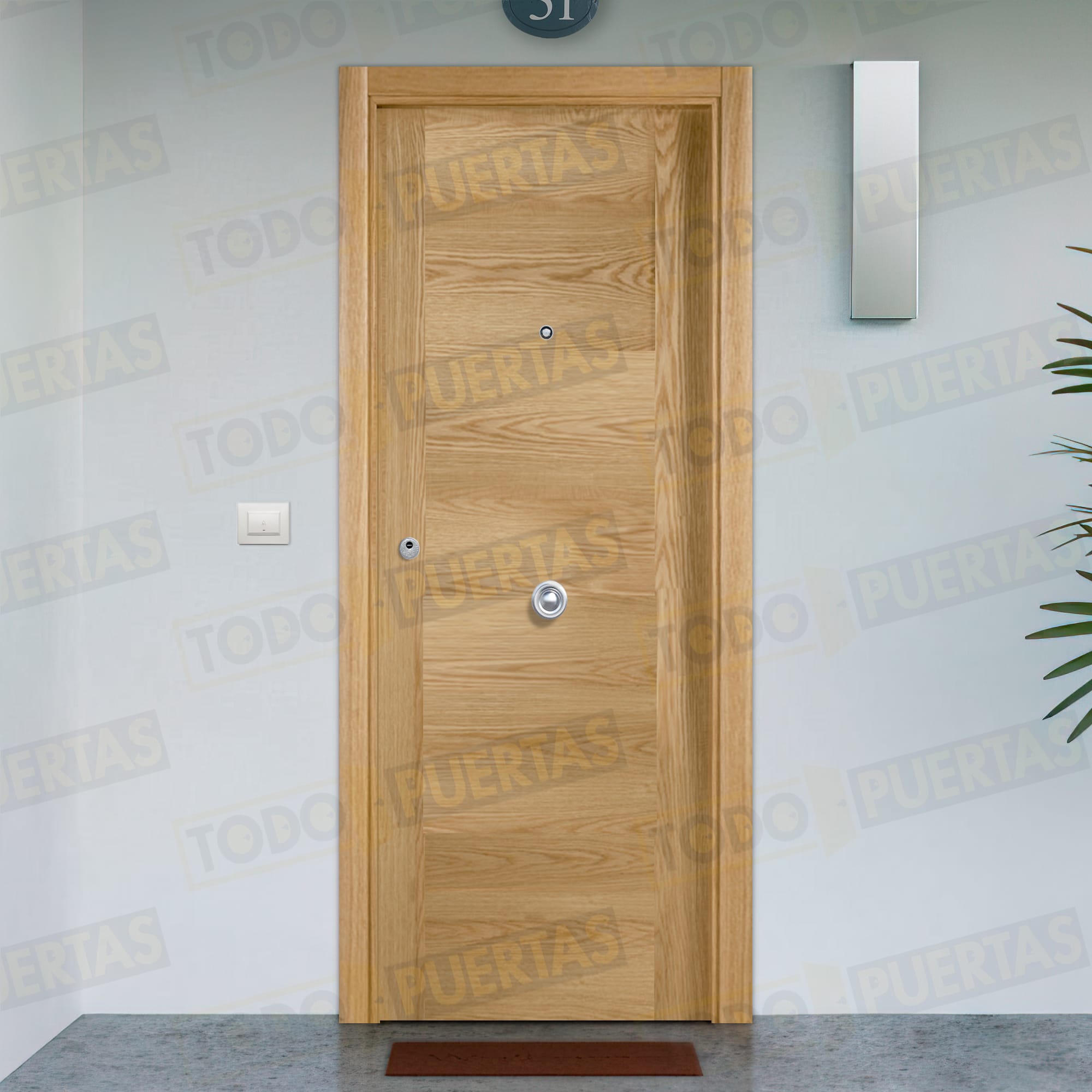 Puertas blindadas Modernas